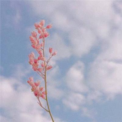 江南体育app下载手机app下载截图