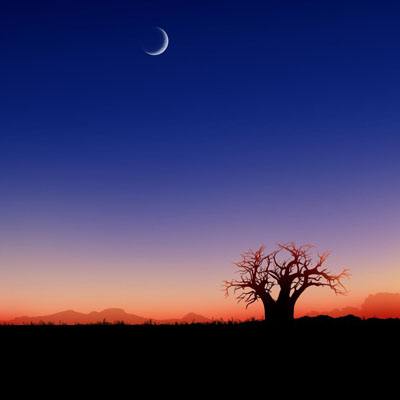 半岛综合体育·官方网站